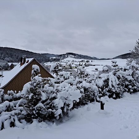 Sauerland-Tinyworld - Ihr Tiny Ferienhaus Im Sauerland Am Diemelsee Екстер'єр фото