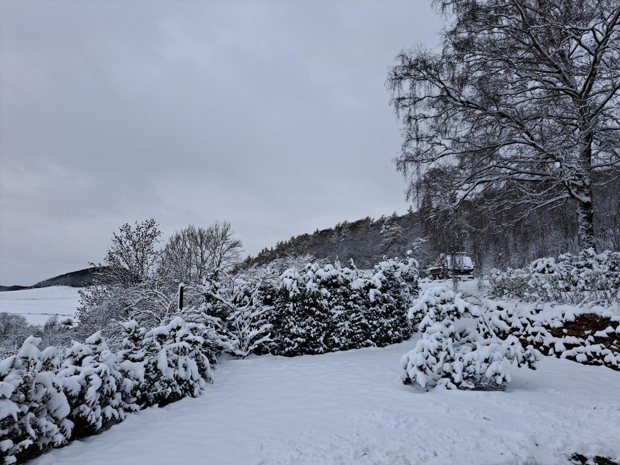 Sauerland-Tinyworld - Ihr Tiny Ferienhaus Im Sauerland Am Diemelsee Екстер'єр фото