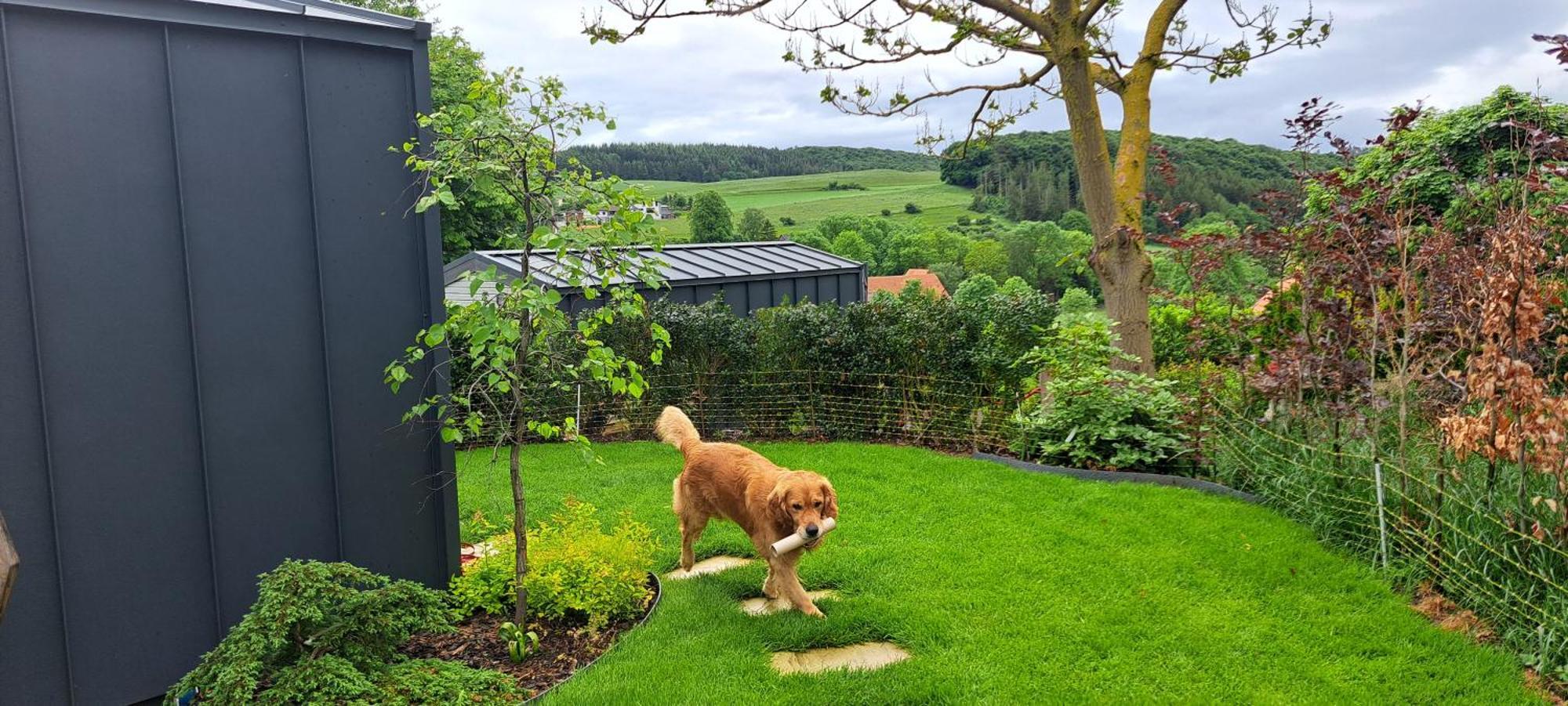 Sauerland-Tinyworld - Ihr Tiny Ferienhaus Im Sauerland Am Diemelsee Екстер'єр фото