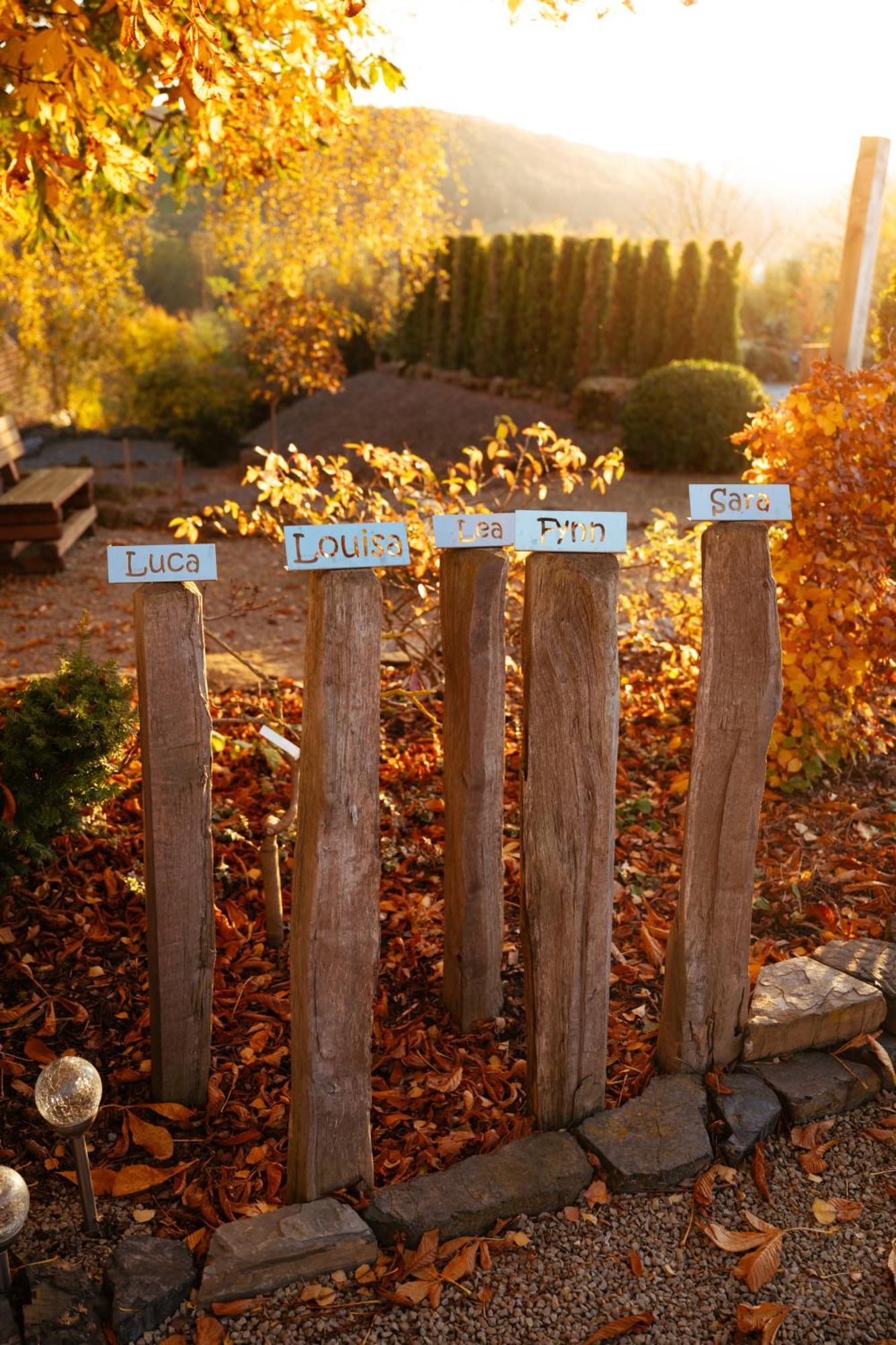 Sauerland-Tinyworld - Ihr Tiny Ferienhaus Im Sauerland Am Diemelsee Екстер'єр фото