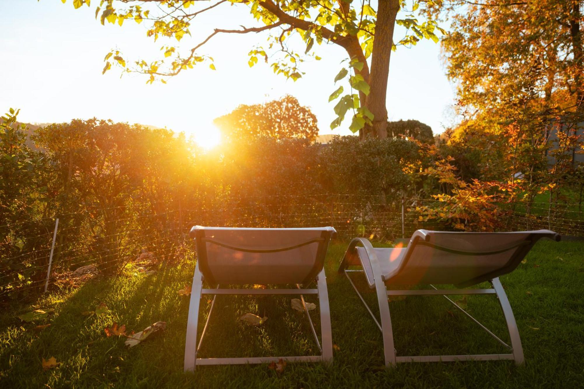 Sauerland-Tinyworld - Ihr Tiny Ferienhaus Im Sauerland Am Diemelsee Екстер'єр фото