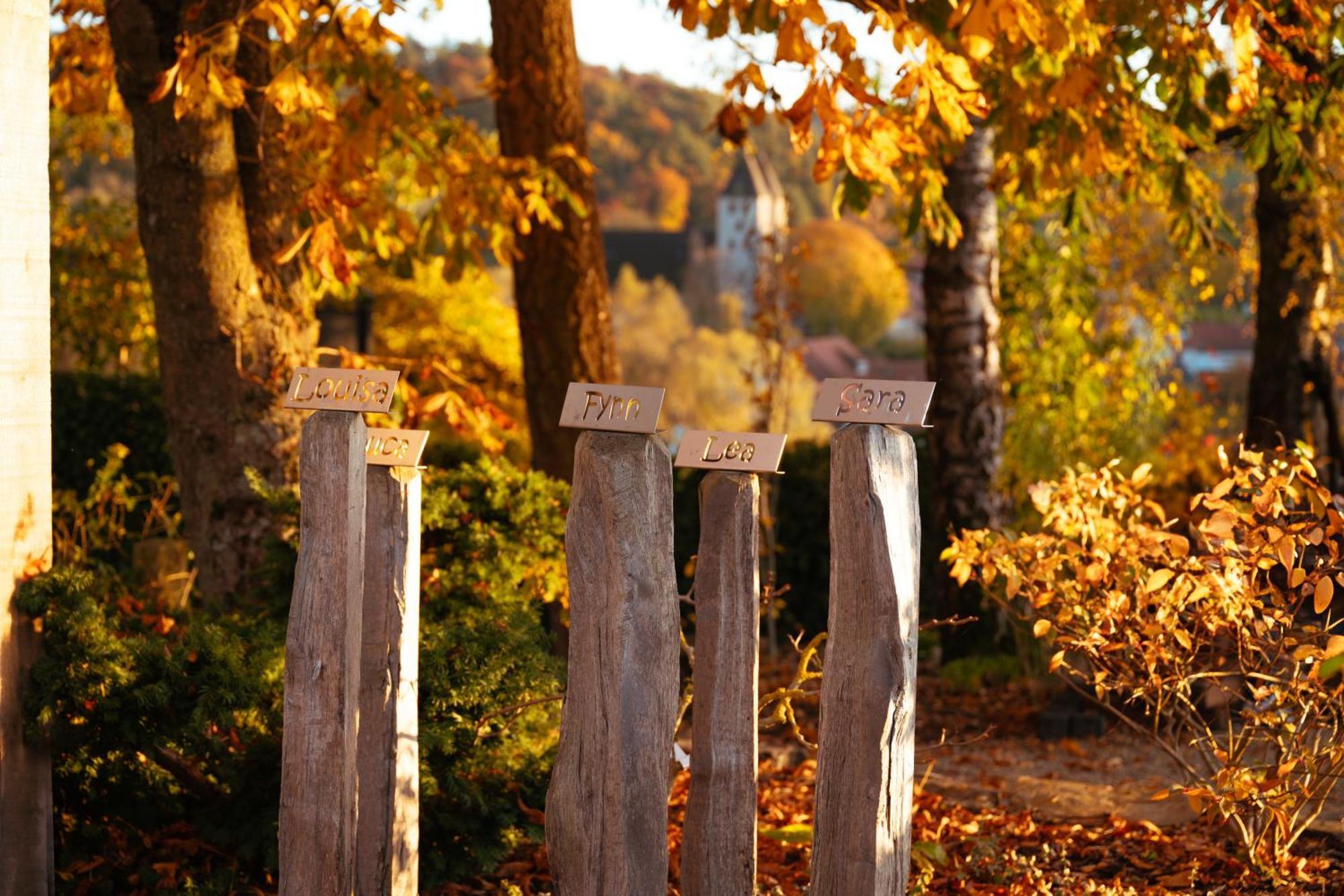 Sauerland-Tinyworld - Ihr Tiny Ferienhaus Im Sauerland Am Diemelsee Екстер'єр фото