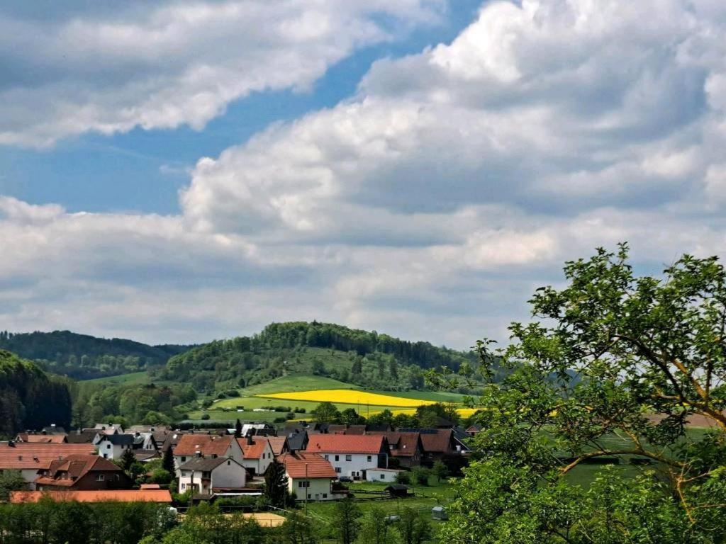 Sauerland-Tinyworld - Ihr Tiny Ferienhaus Im Sauerland Am Diemelsee Екстер'єр фото